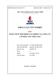 Khóa luận tốt nghiệp: Phân tích tình hình tài chính của công ty cổ phần CNG Việt Nam