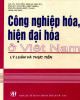 Ebook Công nghiệp hóa, hiện đại hóa ở Việt Nam: Lý luận và thực tiễn - Phần 2