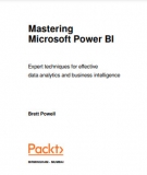 Ebook Mastering Microsoft Power BI: Expert techniques for effective data analytics and business intelligence - Brett Powell