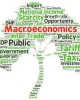 Ebook Kinh tế vĩ mô (Macroeconomics 2nd edition) - Gregory Mankiw