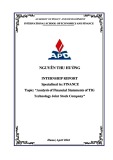 Internship report: Analysis of Financial Statements of TIG Technology Joint Stock Company