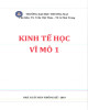 Ebook Kinh tế học vĩ mô 1: Phần 1