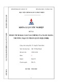 Khóa luận tốt nghiệp: Phân tích báo cáo tài chính của Ngân hàng thương mại cổ phần Quân Đội