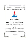 Khóa luận tốt nghiệp: Phát triển hoạt động marketing trực tuyến tại Công ty TNHH Thương mại & Dịch vụ G-Holdings