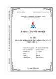 Khóa luận tốt nghiệp: Phân tích tình hình tài chính Công ty Cổ phần Bibica