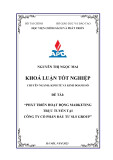 Khóa luận tốt nghiệp: Phát triển hoạt động marketing trực tuyến tại Công ty Cổ phần Đầu tư SLS Group