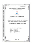 Khóa luận tốt nghiệp: Enhancing Equity Efficiency in the Vietnamese Banking Sector: A Case Study of BIDV (2022–2024)